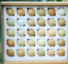 代发 贵州七彩野鸡蛋 36枚礼盒装 锌含量高出普通鸡蛋5倍! 商品缩略图3