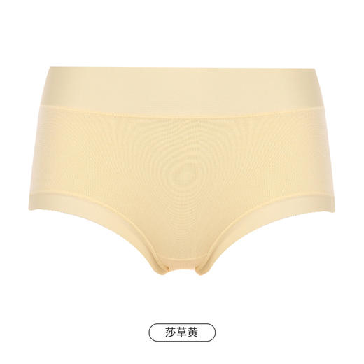 都市丽人健康木代尔系列纤柔绵内裤女人棉女士内裤中腰平角内裤LK45E6 商品图9