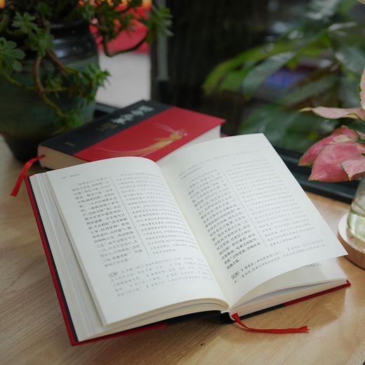 聊斋志异 岳麓书社 商品图9