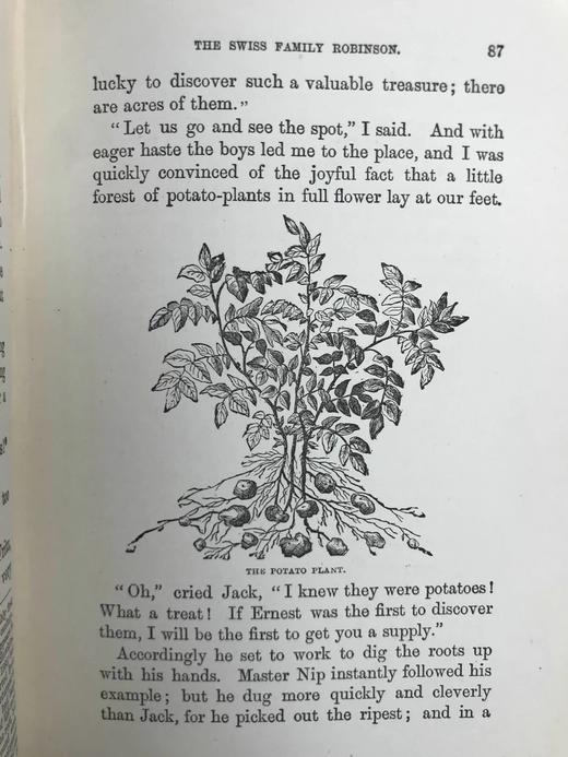 约19世纪后期 约翰·维斯《海角乐园》 约15幅插图 漆布精装32开 商品图6