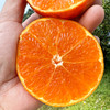 特惠活动『眉山明日见柑橘』脆嫩多汁，鲜甜爽口，皮薄籽少，小巧饱满，又名阿斯蜜柑橘 商品缩略图2