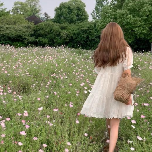 金蘑菇菇 “小仙奴”/手工全刺绣甜美小个子法式连衣裙 商品图3