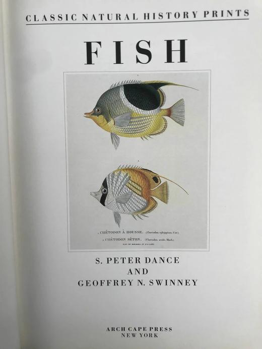 鱼类版画集 60幅精美彩色插图 精装8开 商品图3