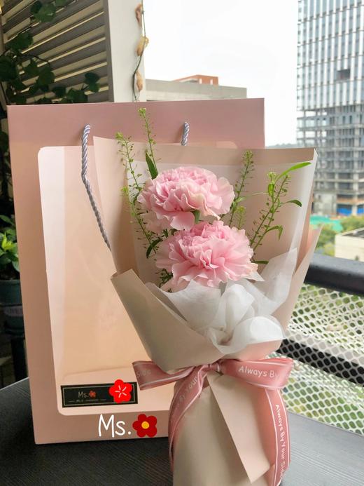 康乃馨小花束（4束起订） 商品图0