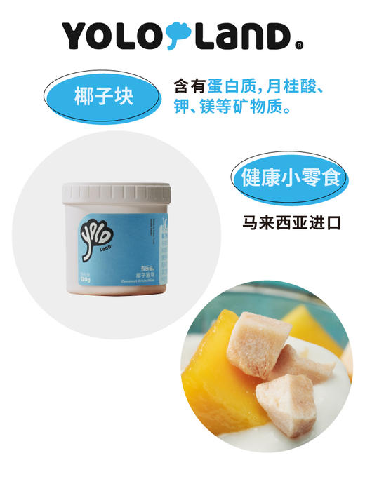 有乐岛 / 椰子脆块 120g 商品图6