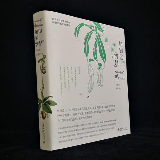 植物的智慧 马炜梁等 著 科普读物 商品图1