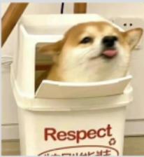 盈盈测试 商品图0