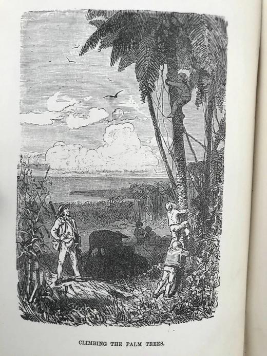 约19世纪后期 约翰·维斯《海角乐园》 约15幅插图 漆布精装32开 商品图2