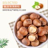 清香榛子450±10g 商品缩略图0