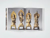 Tang: Treasures from the Silk Road capital 大唐：丝路首都的珍宝 商品缩略图1