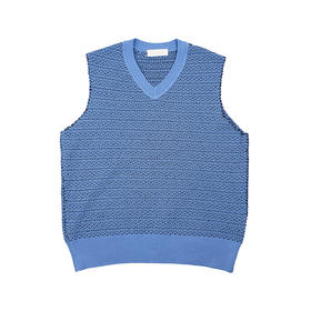 Irenisa TEXTURED KNIT VEST 针织休闲V领背心