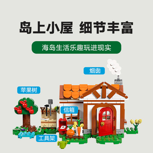 乐高LEGO 西施惠，欢迎来我家LEGC77049 商品图3