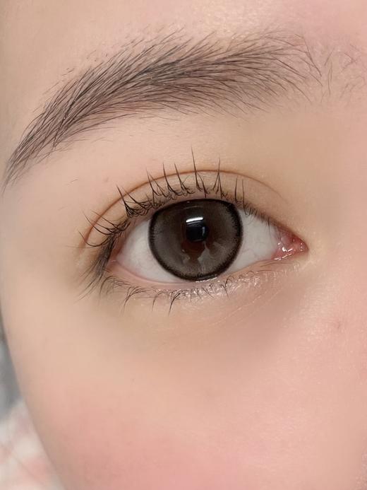 Sondercon日抛-T03灰噗噗 商品图2