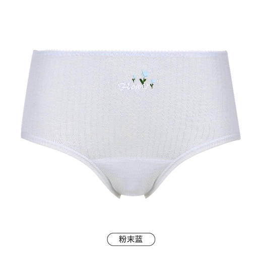 都市丽人功能系列生理裤内裤女冰爽尔女士内裤中腰三角内裤LK48A1 商品图9
