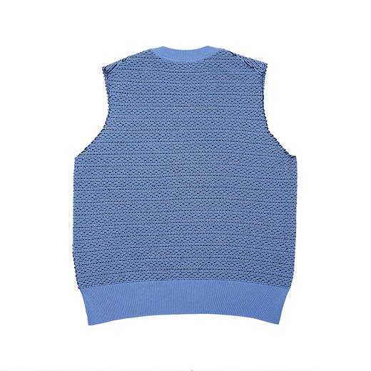 Irenisa TEXTURED KNIT VEST 针织休闲V领背心 商品图3