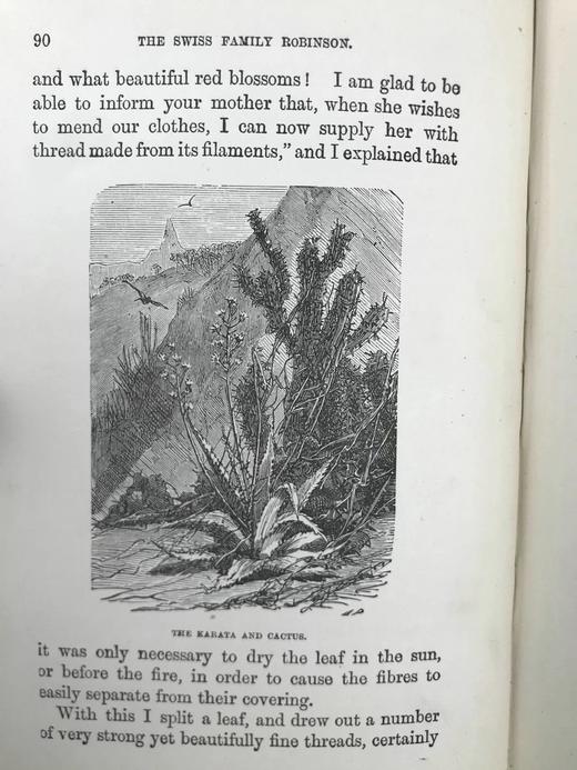 约19世纪后期 约翰·维斯《海角乐园》 约15幅插图 漆布精装32开 商品图4