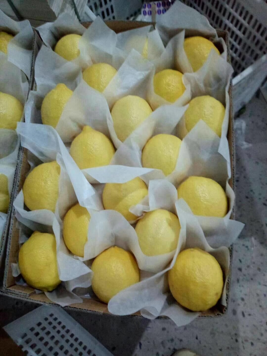 微信图片_201907312244315 - 副本.jpg