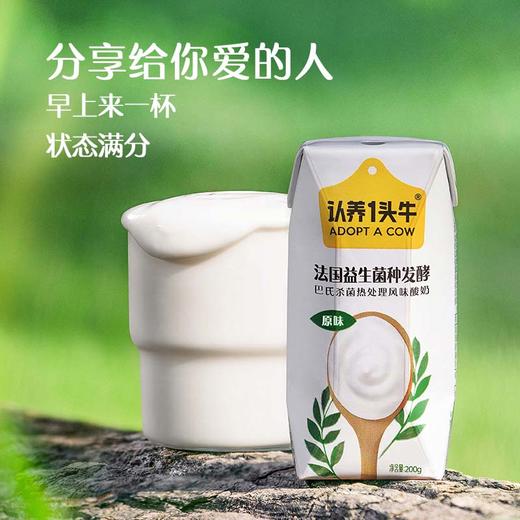 认养一头牛酸奶200g利乐钻12入一提装 商品图2