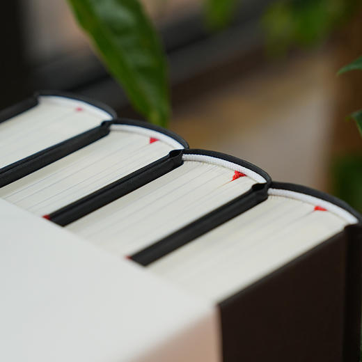 聊斋志异 岳麓书社 商品图8