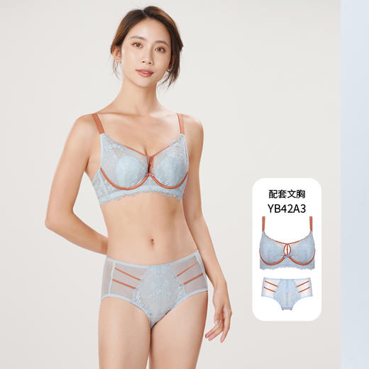 都市丽人蕾丝网布内裤女蕾丝+网布内裤平角内裤YP42A3 商品图4