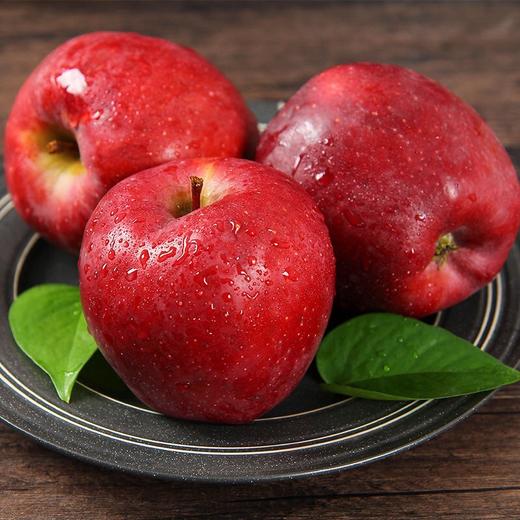 【产地直发！甘肃天水花牛苹果】营养丰富，新鲜美味，颗颗精选，好吃看得见！应当季水果宝宝辅食蛇果香甜粉整箱 商品图3