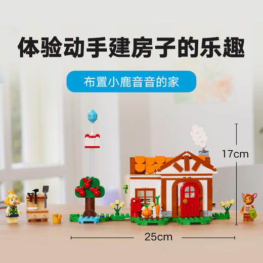 乐高LEGO 西施惠，欢迎来我家LEGC77049 商品图2