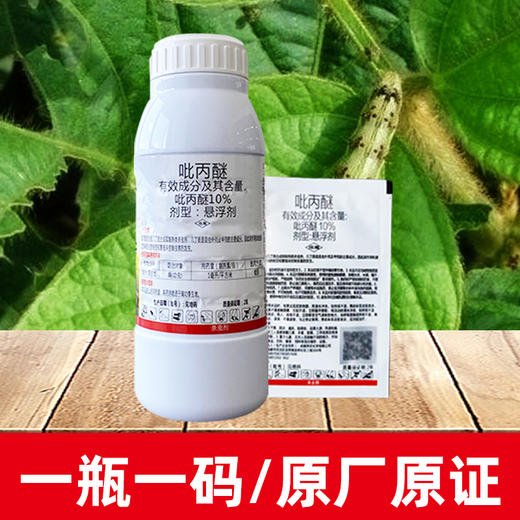 吡丙醚柑橘蔬菜果树蓟马蚧壳虫介壳虫白粉虱木虱杀虫卵农药杀虫剂 商品图2