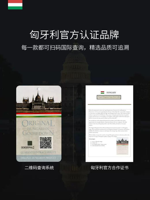 【ROYALCOVER】罗卡芙分区保温匈牙利进口95%鹅绒被 马梅利之歌（春秋被） 商品图1