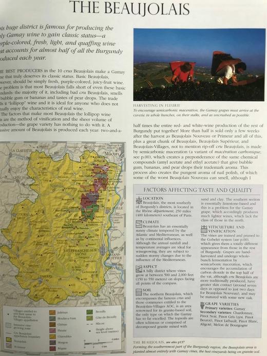 苏富比红酒百科全书 数百幅彩色插图 精装16开 商品图12