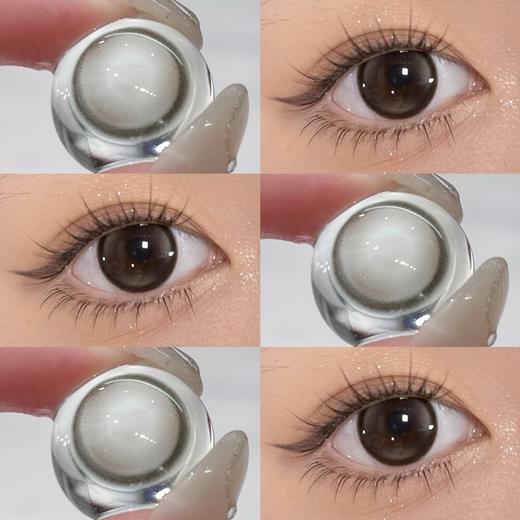 Sondercon日抛-T01小黑茶 商品图7