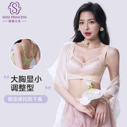 舒适百搭 双色蕾丝聚拢内衣 大胸显小 上托收副乳防下垂 性感舒适 商品图1