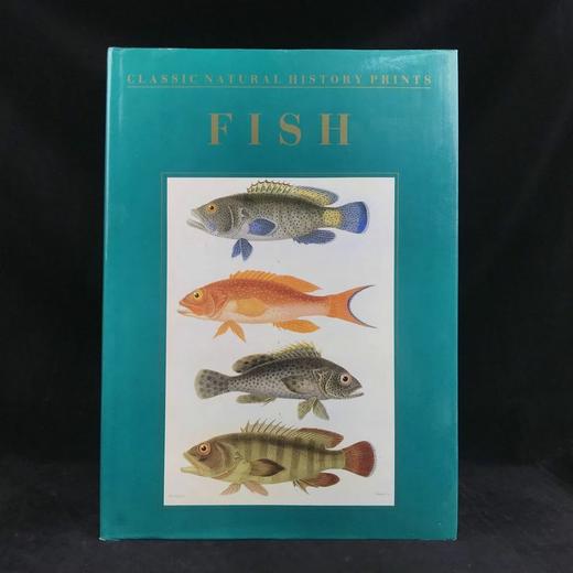 鱼类版画集 60幅精美彩色插图 精装8开 商品图0