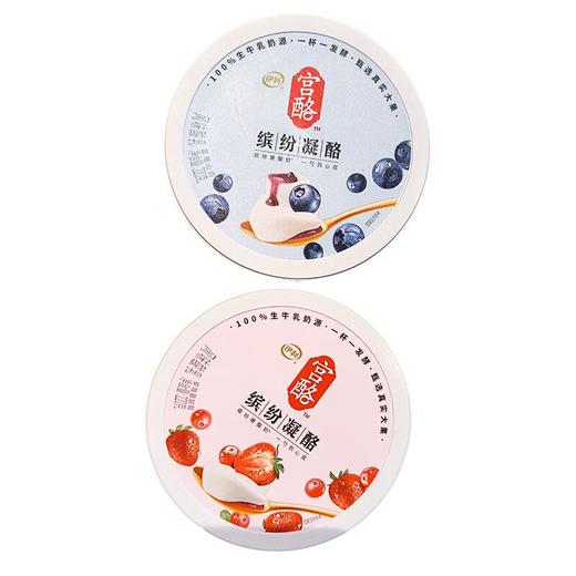 伊利缤纷凝酪220G 商品图0