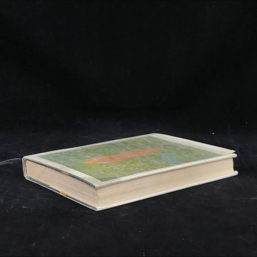 海报简史：1870-1970 273幅插图（72幅彩色） 精装大32开 商品图2