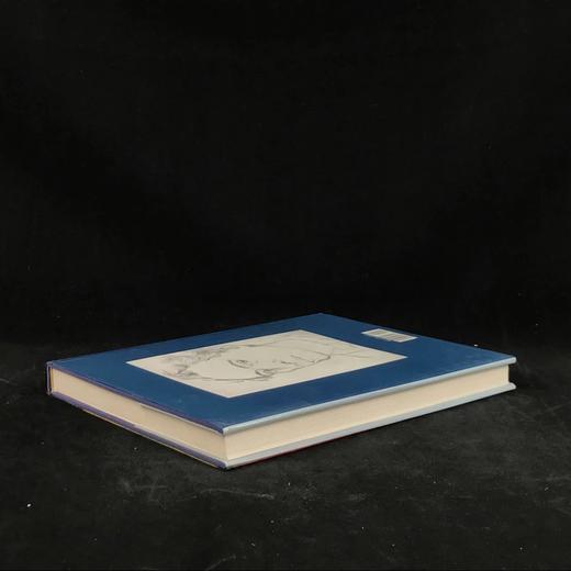 迈耶·夏皮罗绘画与雕塑图集 203幅插图（53幅彩色） 精装16开 商品图2