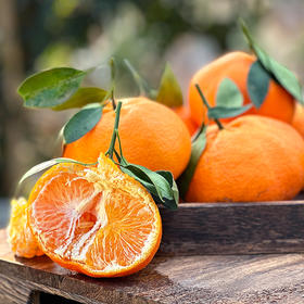 特惠活动『眉山明日见柑橘』脆嫩多汁，鲜甜爽口，皮薄籽少，小巧饱满，又名阿斯蜜柑橘