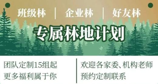 闵行植树活动，一日独立活动，植树季 特别活动 “植”此新绿，“树”立未来 商品图0