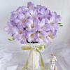 【新春油画】小苍兰 紫色 20枝 | 新客福利 商品缩略图0