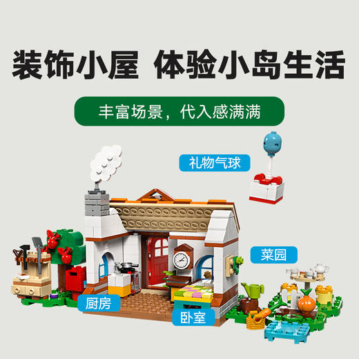 乐高LEGO 西施惠，欢迎来我家LEGC77049 商品图4