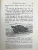 约19世纪后期 约翰·维斯《海角乐园》 约15幅插图 漆布精装32开 商品缩略图11