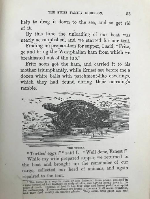 约19世纪后期 约翰·维斯《海角乐园》 约15幅插图 漆布精装32开 商品图11
