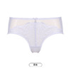 都市丽人薄透丝滑内裤女蕾丝+泳布女士内裤平角内裤LP42C3 商品缩略图12