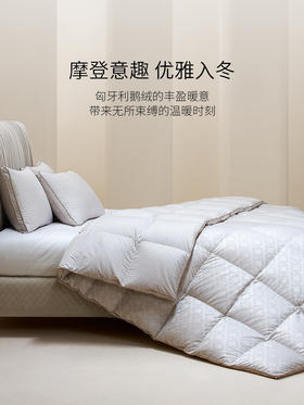 【ROYALCOVER】罗卡芙分区保温匈牙利进口95%鹅绒被 马梅利之歌（春秋被）