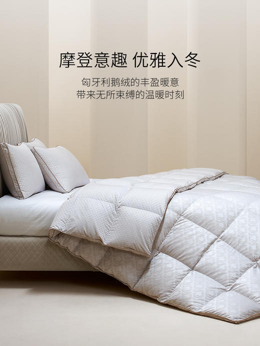 【ROYALCOVER】罗卡芙分区保温匈牙利进口95%鹅绒被 马梅利之歌（春秋被） 商品图0