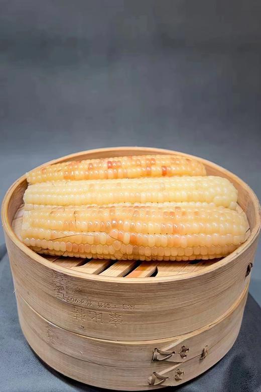 【AN】西双版纳 巴掌玉米 商品图2