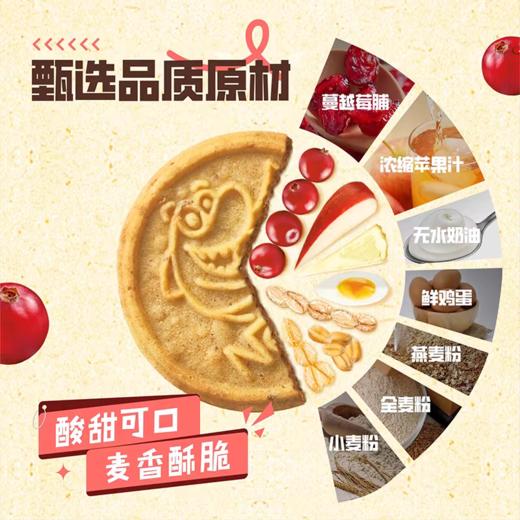 雀巢脆脆鲨南瓜子巧克力味蔓越莓味曲奇饼干56g 商品图3