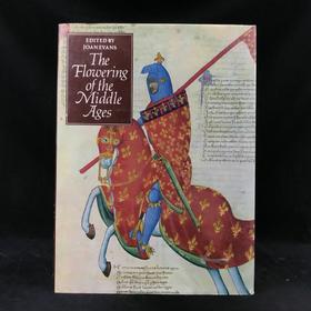 中世纪盛景 303幅插图（93幅彩色） 精装大16开