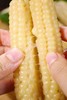 【AN】西双版纳 A级拇指玉米 商品缩略图1