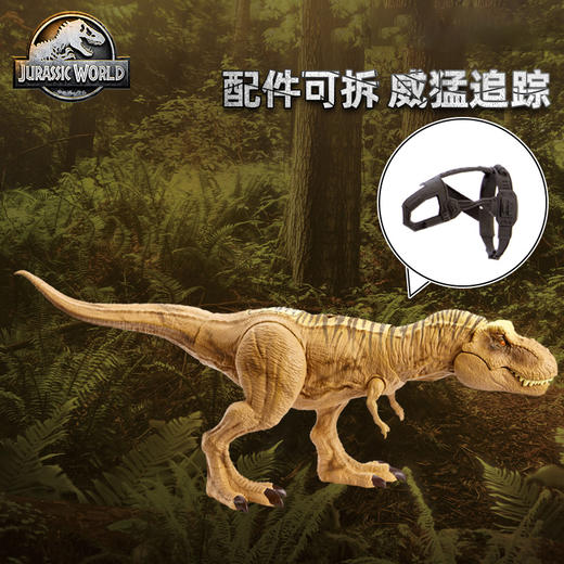 美太 追捕吞噬霸王龙MATCHNT62 商品图2