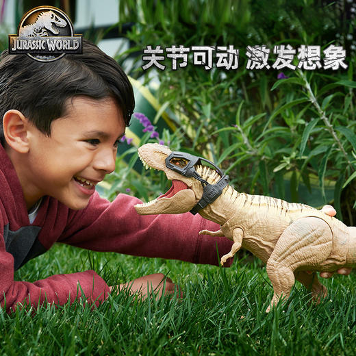 美太 追捕吞噬霸王龙MATCHNT62 商品图3